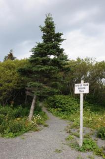 Riverside Chalets - 6