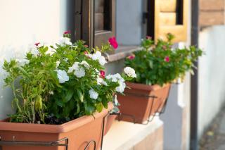 La Casa di Smilla - (Bevagna) - Foligno - 5