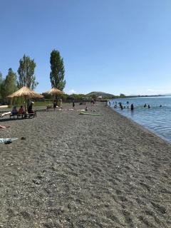 Hotel Today , Խաղաղության լողափ - 6