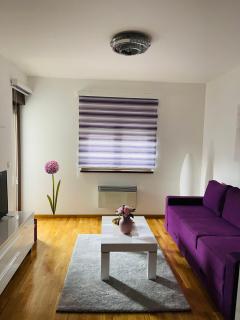 Casa Viola - Zlatibor - 4