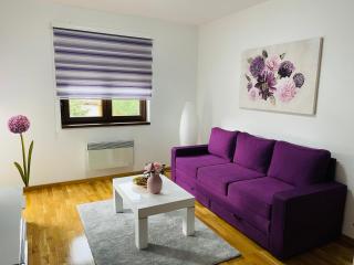 Casa Viola - Zlatibor - 6