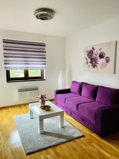 Casa Viola - Zlatibor - 5