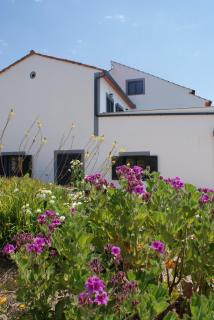 Casa do Vale Cabo - Olival - 9
