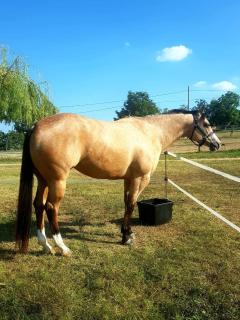 Azienda Agricola Cascina Monticone - 6