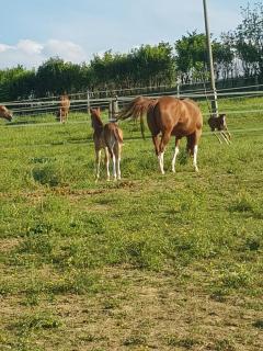 Azienda Agricola Cascina Monticone - 5