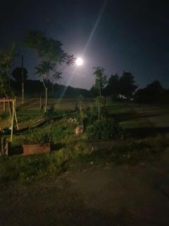 Azienda Agricola Cascina Monticone - 4