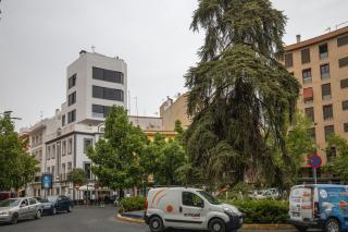 Luxurys Costasol33 Aptos 1 y 2 - 6