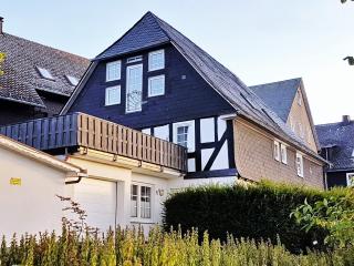 Parklife Apartments - Winterberg - 9