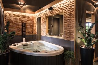Le Domaine des Prés Verts Suites & Chambres avec Jacuzzi Privatif à Châteauneuf - Châteauneuf - 7