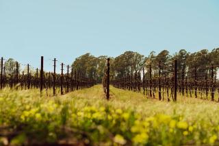 Stanly Ranch, Auberge Collection - 5