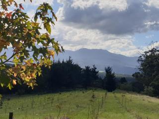 The Studio @ Mount View Lodge - Sedgefield - 1
