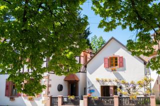 Les Tilleuls - Wissembourg - 6