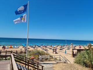 Velamar Praia 411 - 300m da praia - Albufeira - 0