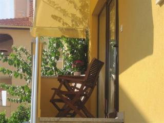 Apartments Villa Violet - Zadar - 4