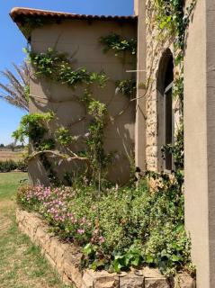 Alimama Spaces The Manson's Cote de Val - Parys - 2