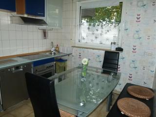 Cosy 3 Zimmer Whg incl großer Wohnküche, Smart TV, WLAN, Eutelsat & Astra Satelliten TV, viele Parkplätze vorhanden, Langzeitmiete - Flörsheim am Main - 8