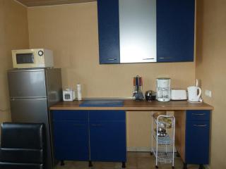 Cosy 3 Zimmer Whg incl großer Wohnküche, Smart TV, WLAN, Eutelsat & Astra Satelliten TV, viele Parkplätze vorhanden, Langzeitmiete - Flörsheim am Main - 7