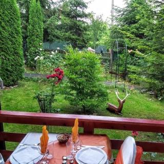 Pensiunea Agroturistică Piscul Soarelui - 2