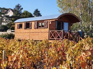 La Roulotte de Chiroubles - Chiroubles - 9