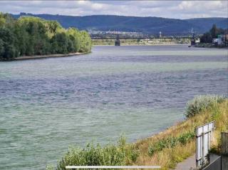 Modernes Apartment mit wunderschonem Rheinblick - Urmitz - 1