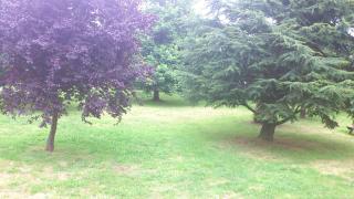 Apartamentos Rurales La Cirigüeña - Oles - 6