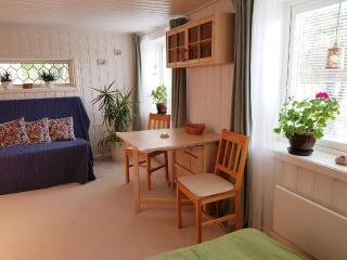 Apartments "Ecohouse" nearby Håverud Dalsland Sweden - Åsensbruk - 5