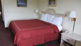 Americas Best Value Inn and Suites Houston FM 1960 - Houston - 4