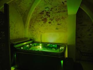 L'envoûtement Provençal, jacuzzi privatif et SPA - Orgon - 9