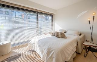 Cosy Coast - Knokke-Heist - 3