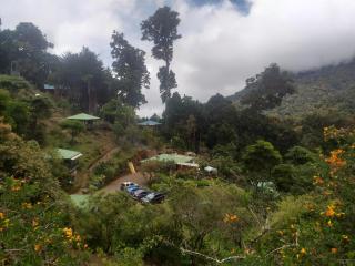 Las Cataratas Lodge - San Gerardo de Dota - 6