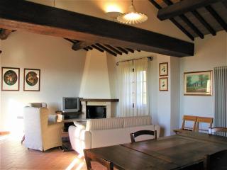 Apartment in Tuscany with Pool and Garden - Serre di Rapolano - 9