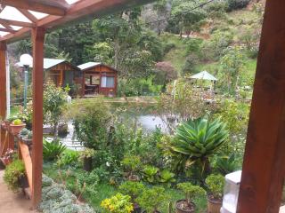 Las Cataratas Lodge - San Gerardo de Dota - 8