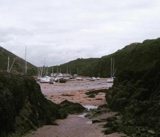 The Ship Inn - Solva - 5
