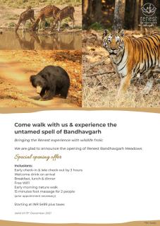 Club Mahindra Bandhavgarh Meadows - 9