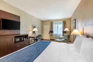 Comfort Inn & Suites Orange County John Wayne Airport - 3