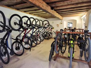 Landhotel Agathawirt - Bad Goisern - 9