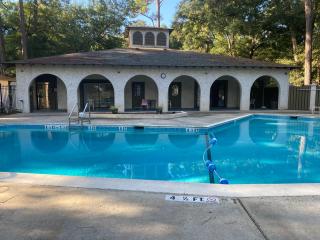 HHI Homes- Newly Renovated Cozy Modern Pet-Friendly Villa-Ideal Location - Hilton Head Island - 9