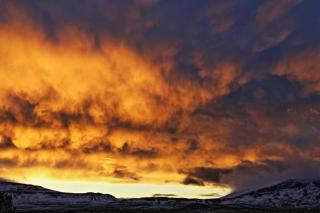 Tigh Quiraing- Heather - 2