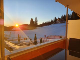 Enjoy Ferienwohnung Feldberg Grafenmatt - Feldberg - 8