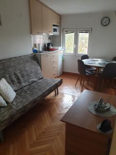 Park apartment - Banja Luka - 7