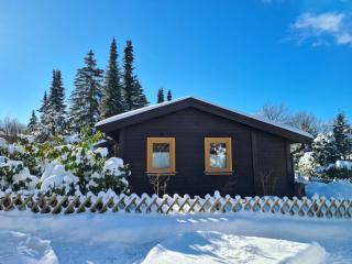 Hüttenflair am See mit Kamin - Clausthal-Zellerfeld - 9