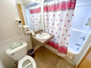 Lake Bluff Inn and Suites - South Haven - 3