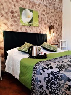Hotel Victoria - Firenze - 5