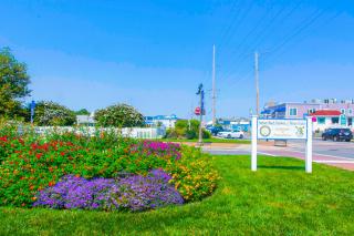 Ocean Village -- 39664 Skimmer - 2