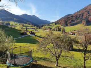 Haus Matzl inkl. Chiemgaukarte - Ruhpolding - 2