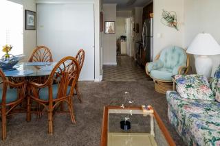 Sea Sands 101 - Ocean City - 9