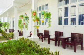 Đồi Dừa Homestay - 1