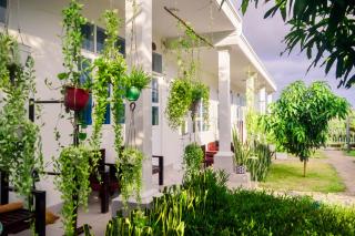 Đồi Dừa Homestay - 9