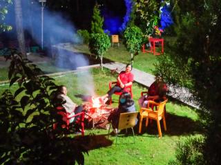 Kasauli Nature Inn - 1