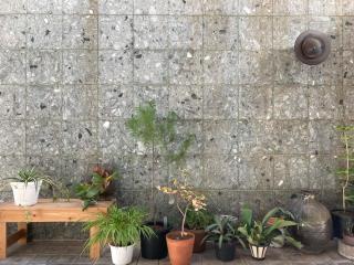 J-Hoppers Beppu Guesthouse ジェイホッパーズ別府ゲストハウス - 6